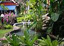 4_garden1.jpg