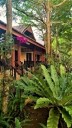 60_luxury_garden.jpg