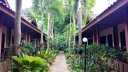 61_luxury_garden.jpg